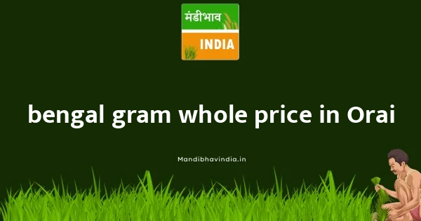 bengal gram whole price